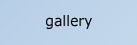 gallery button